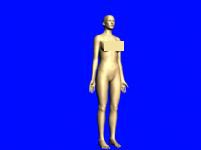 女性人体3d模型