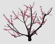 桃花,桃树3d模型