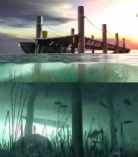 船舶港,港口,口岸,水底世界,maya自然场景模型
