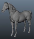 高精度野马,骏马,马匹maya模型