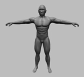 男人体maya模型