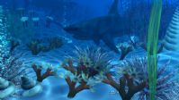 真实海底,海底世界,maya场景模型