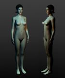 女人体max模型