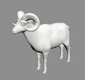 big horn sheep 大角羊3d模型