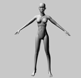人体,女性,人物3D模型