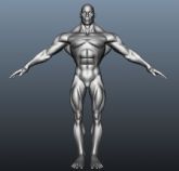 精品真实肌肉男人体 大型准确布线均匀maya模型