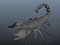 蝎子3d模型