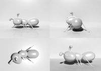 扭头看的蚂蚁3D模型