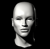 基础人头,人体3D模型