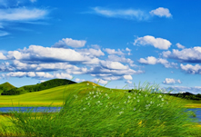 蓝天草原的草地,maya场景模型,背景是图片