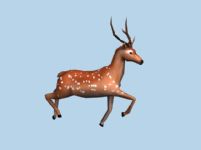 绑定梅花鹿带奔跑动画3D模型