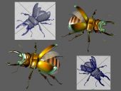 锹甲虫,甲壳虫,昆虫3D模型