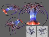 五彩龙虾3D模型