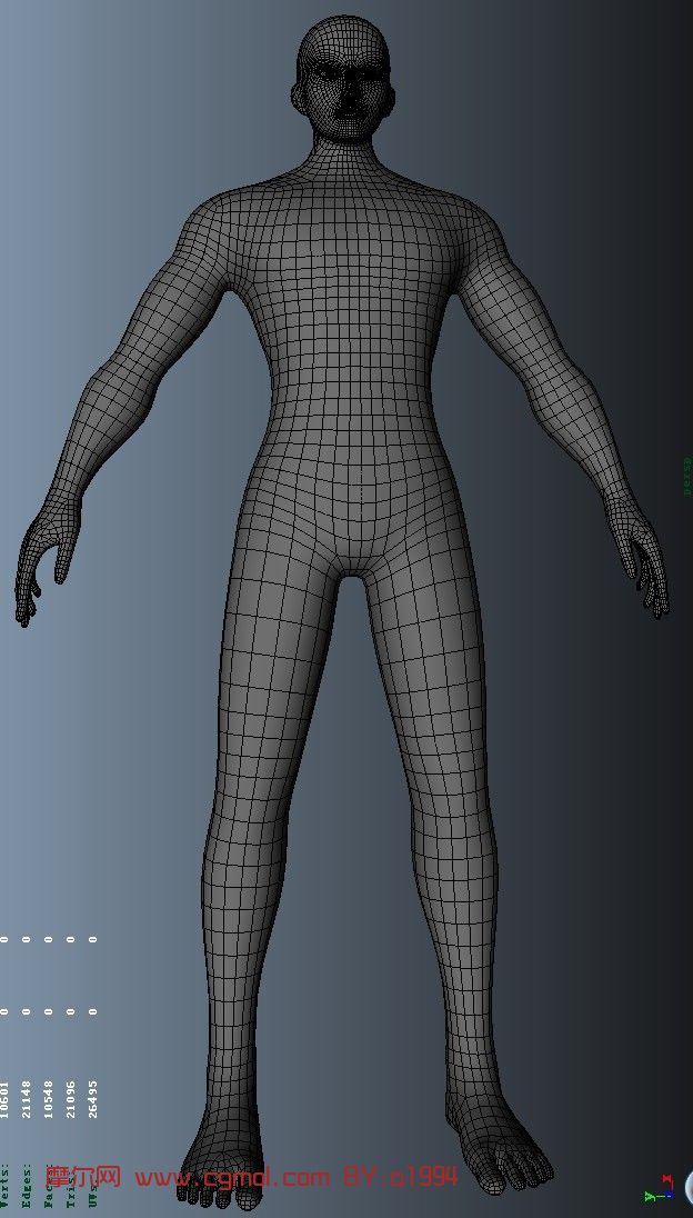男裸模 男人体3d模型 基础人体 动画角色 3d模型下载 3d模型网 Maya模型免费下载 摩尔网