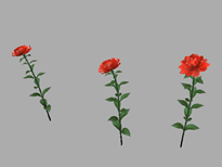红色花朵maya模型