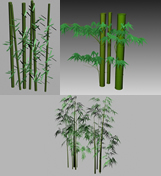 各类竹子,竹林3D模型