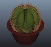 仙人球盆栽maya模型