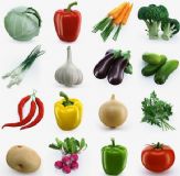 水果,青菜,植物,土豆,西红市,青椒,白菜,萝卜,辣椒,茄子,果蔬3D模型