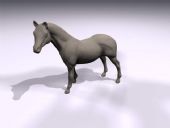 3D马模型制作