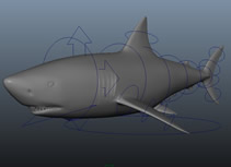 简单绑定的鲨鱼maya模型