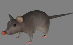 maya卡通老鼠模型