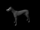 dog狗狗3D模型