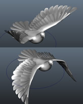 maya 鸽子模型(拍打翅膀动作)