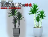 低面盆栽植物3D模型