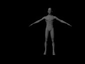 小龙,男人体maya模型