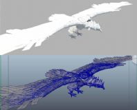 鹰,鸟类maya模型