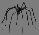 蜘蛛,昆虫max3d模型