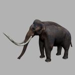 古生物,猛犸象maya3d模型