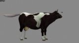 奶牛,动物max3d模型