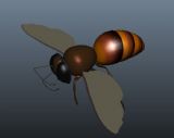 蜜蜂,昆虫maya3d模型