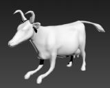 长角奶牛3D模型