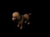 小狗,动物maya3d模型
