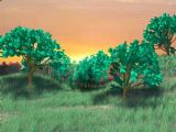 落日森林,春天场景,室外场景maya3d模型
