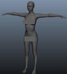 人体,女人体建模,maya模型