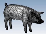 猪,动物max3d模型