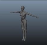 人体maya3d模型