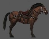 马,动物,游戏动物max模型