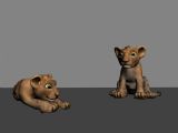 两只可爱的小狮子,幼师,动物max3d模型