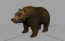 熊,动物maya模型