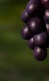 一串紫色葡萄真实maya模型