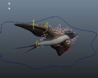 小燕子3D模型