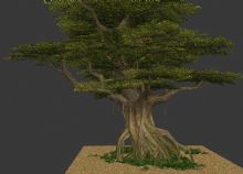 树木,植物,室外场景max模型