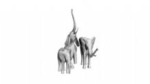 大象,动物max模型