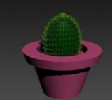 仙人球,植物盆景3D模型