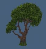 手绘半写实风格树模型
