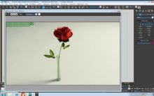 3D玫瑰 插花模型
